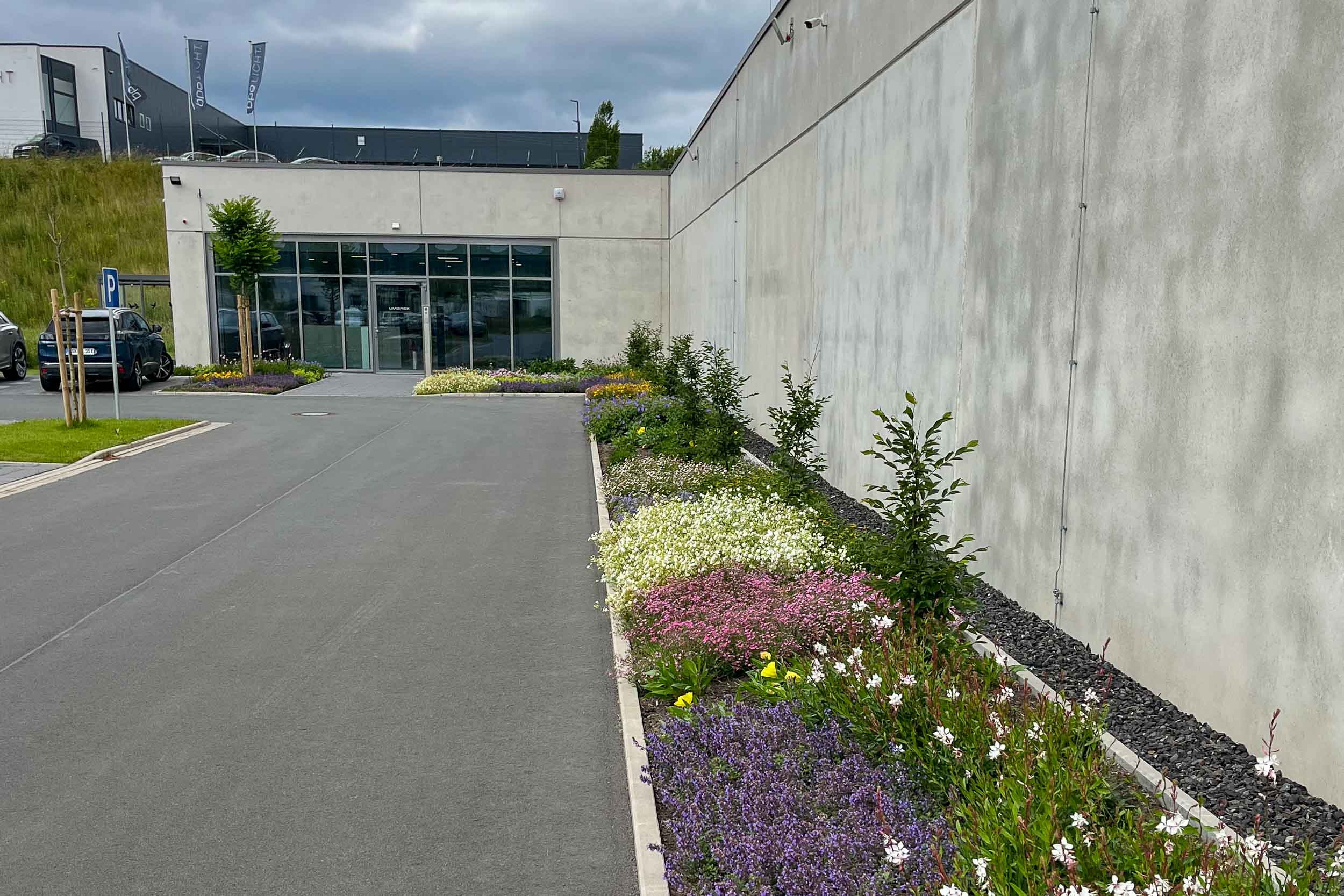 Staudenbeete Schwegmann Gartengestaltung